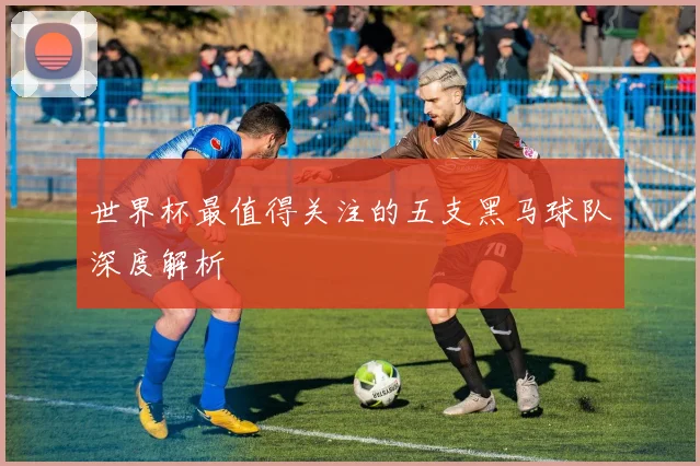 世界杯最值得关注的五支黑马球队深度解析