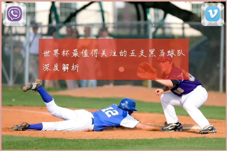 世界杯最值得关注的五支黑马球队深度解析