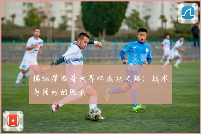 揭秘摩洛哥世界杯成功之路：战术与团结的胜利