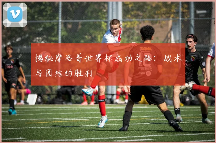 揭秘摩洛哥世界杯成功之路：战术与团结的胜利